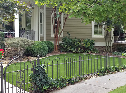 Lawn Replacement