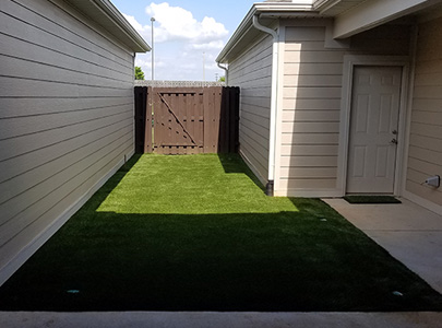 Lawn Replacement