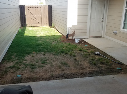 Lawn Replacement