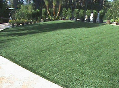 Lawn Replacement